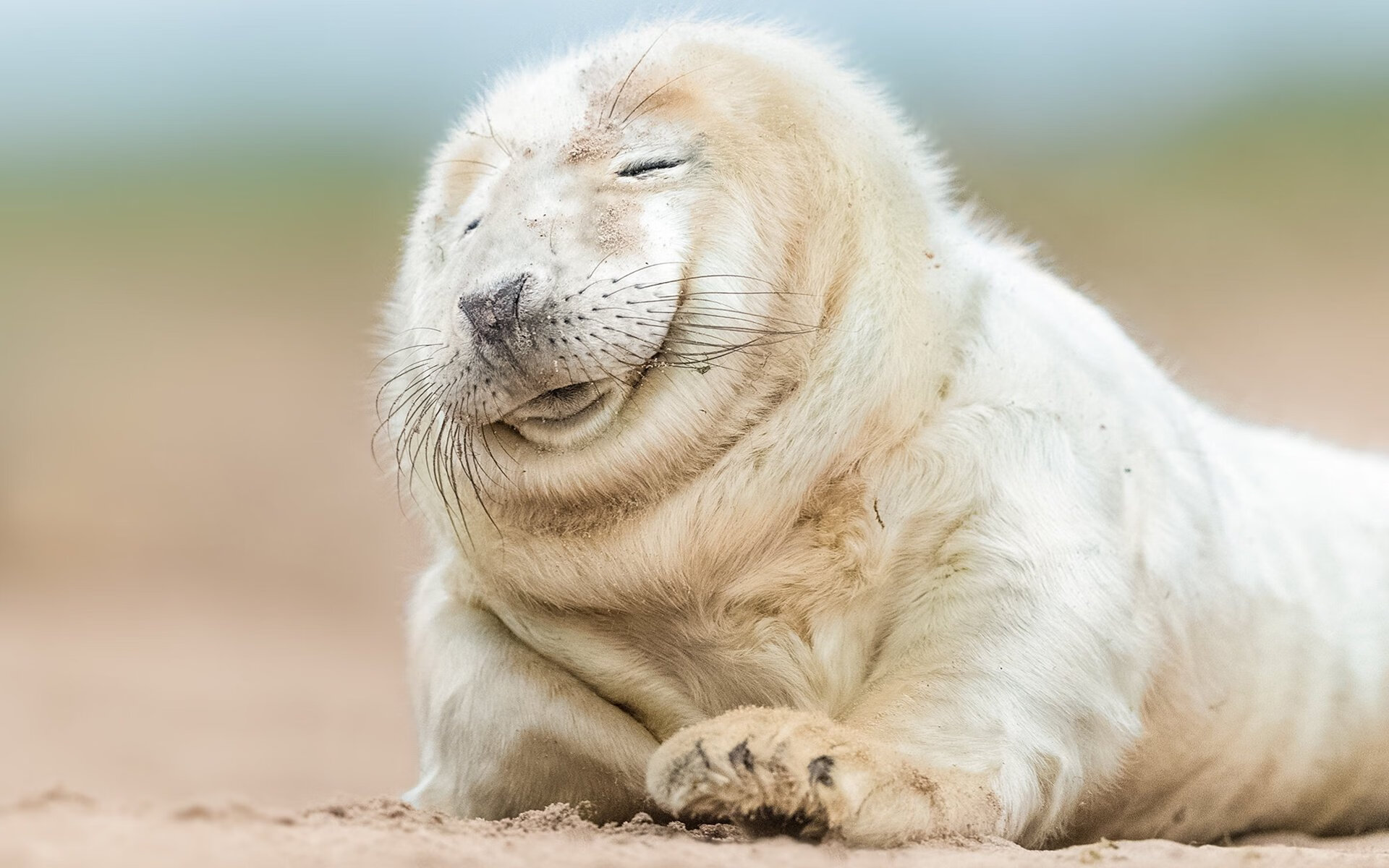 《王者荣耀季中冠军赛,LPL代表队展现霸气》,kpl个赛季冠军