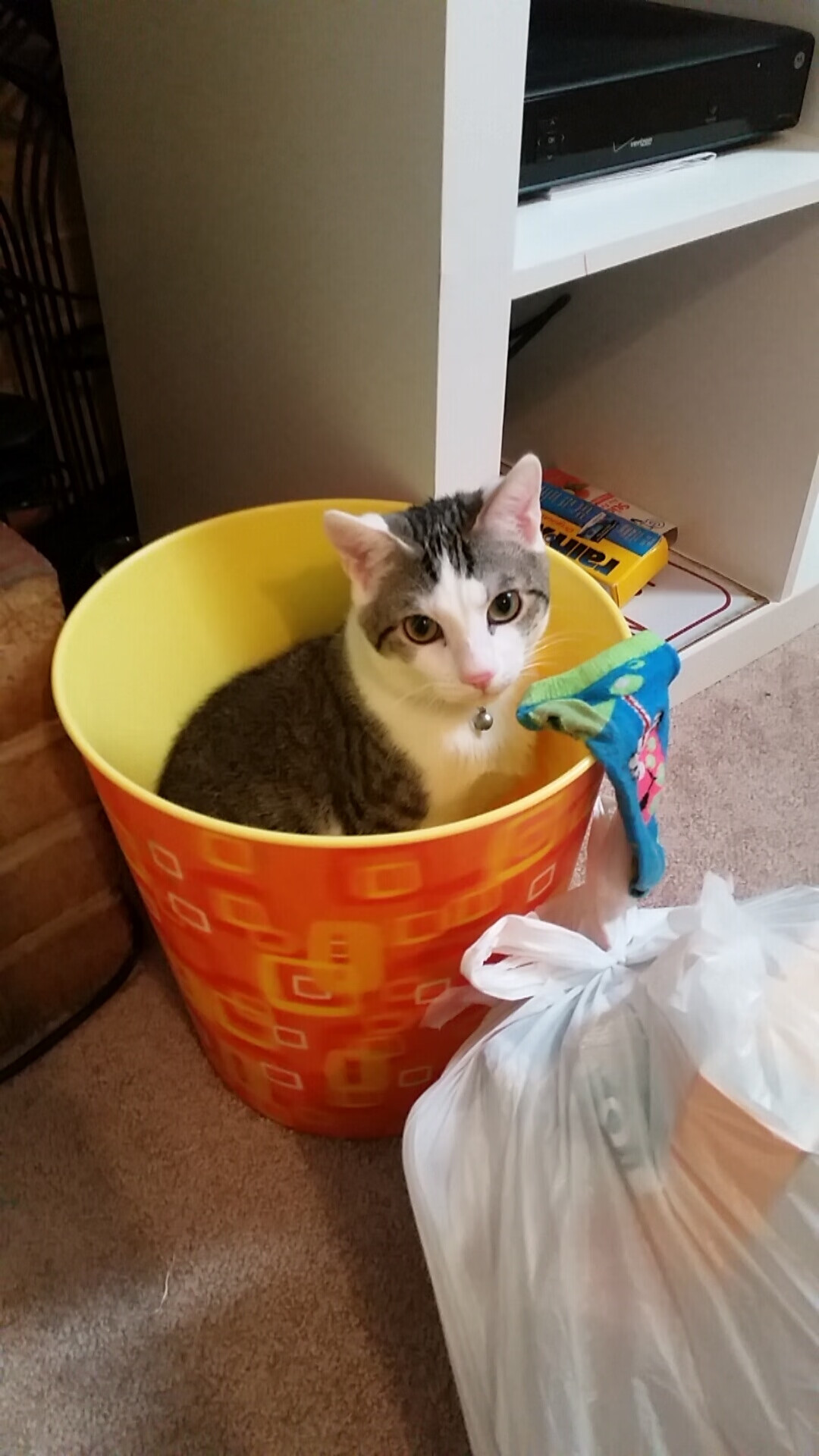 数字化裁判系统广泛应用，提升比赛公正与效率，数字化审判