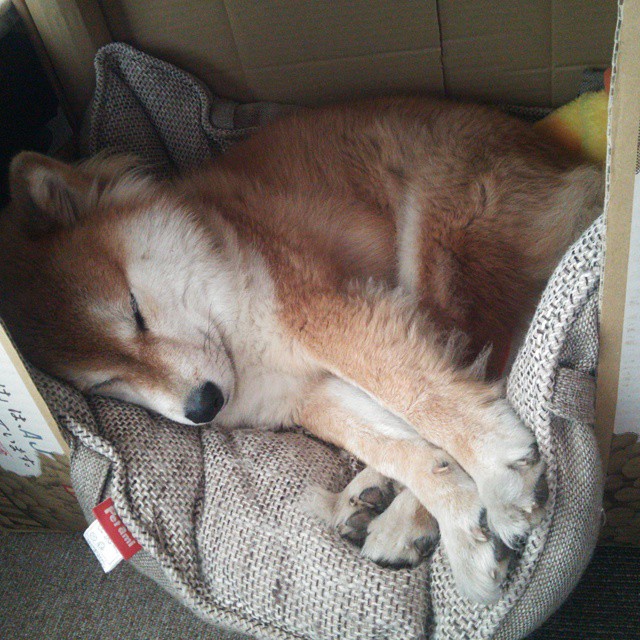 CS2 职业联赛规则调整备受关注,cs的职业联赛